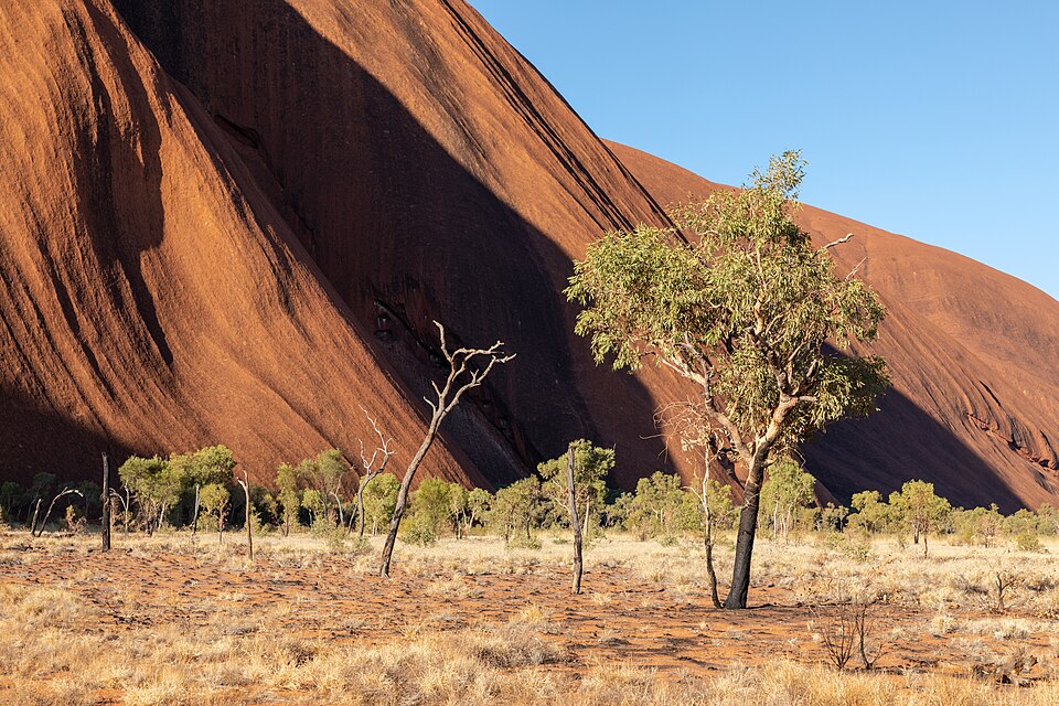 Petermann Ranges (AU), Uluru-Kata Tjuta National Park, Uluru, Kuniya Walk -- 2019 -- 3674 — Uluru, Australia