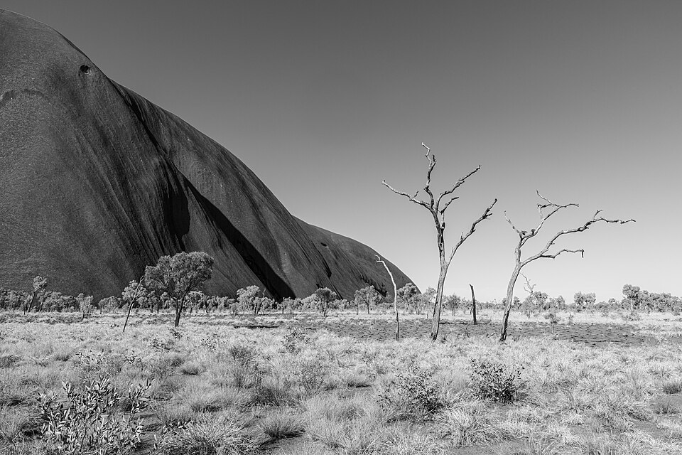 Petermann Ranges (AU), Uluru-Kata Tjuta National Park, Uluru, Kuniya Walk -- 2019 -- 3615  — Uluru, Australia