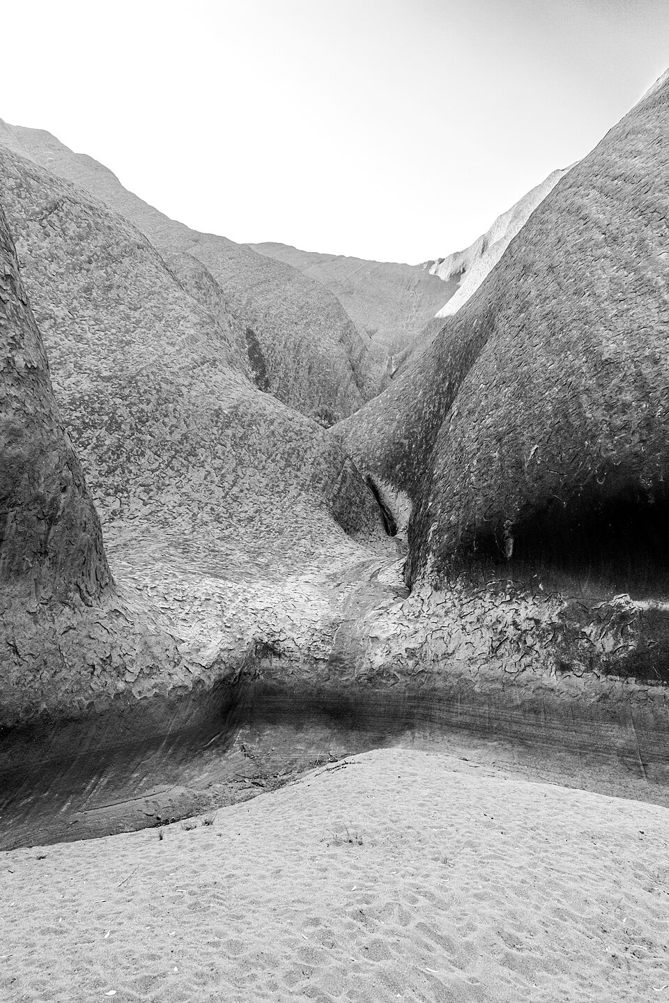 Petermann Ranges (AU), Uluru-Kata Tjuta National Park, Uluru, Mutitjulu Waterhole -- 2019  — Uluru, Australia
