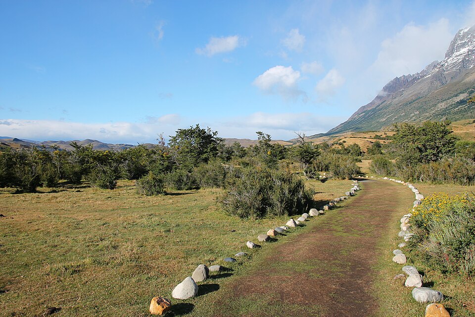 Parque nacional Torres del Paine, 2019 0387 — Torres del Paine, Chile